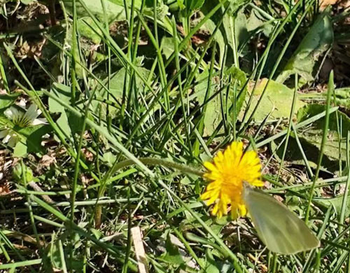 端午安康，沈陽網(wǎng)站建設(shè)公司向困難群體獻愛心